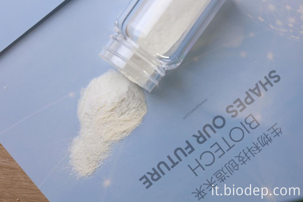 Polvere probiotica Probiotic Powder